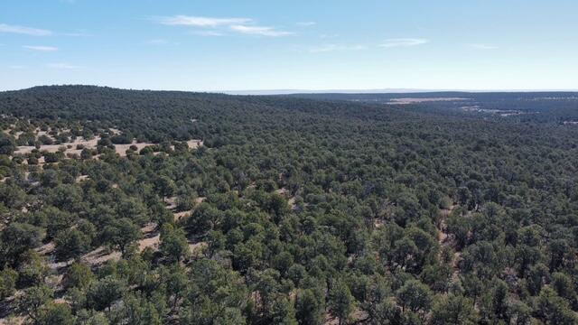 Photo 17 —  McComb Road Tract AA