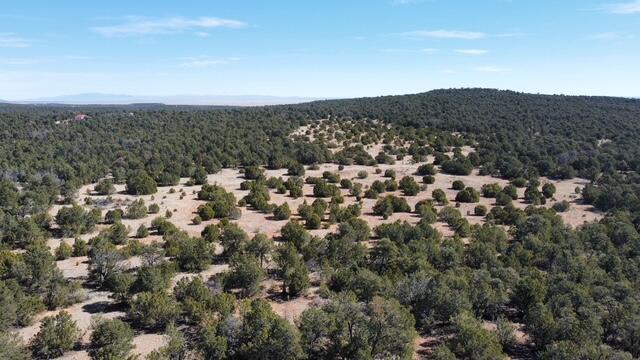 Photo 16 —  McComb Road Tract AA