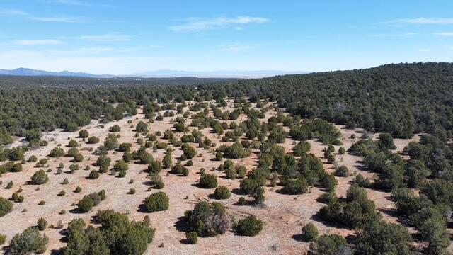 Photo 14 —  McComb Road Tract AA