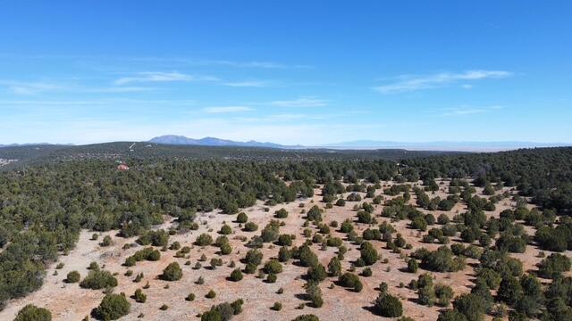 Photo 12 —  McComb Road Tract AA