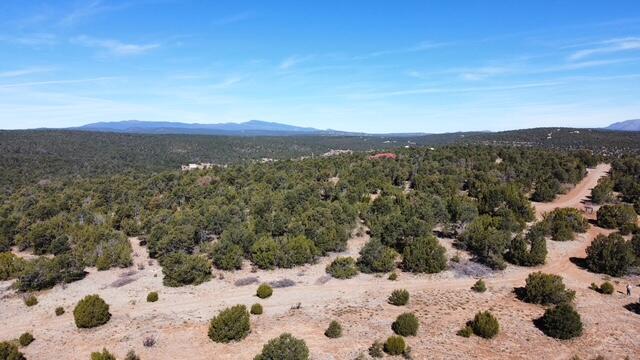 Photo 10 —  McComb Road Tract AA