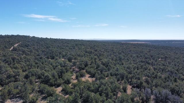 Photo 9 —  McComb Road Tract AA