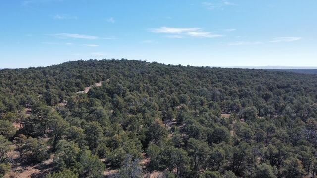 Photo 8 —  McComb Road Tract AA