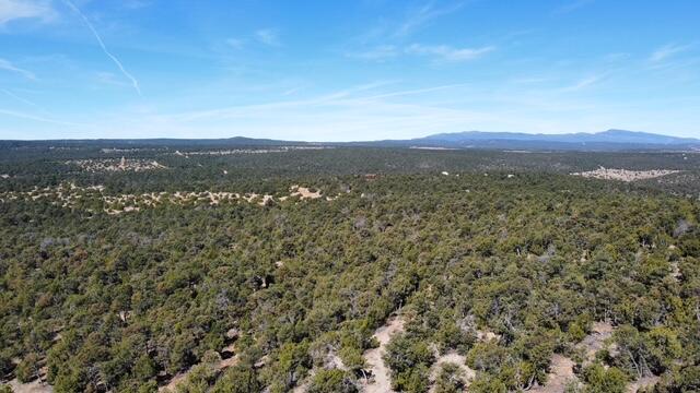 Photo 5 —  McComb Road Tract AA