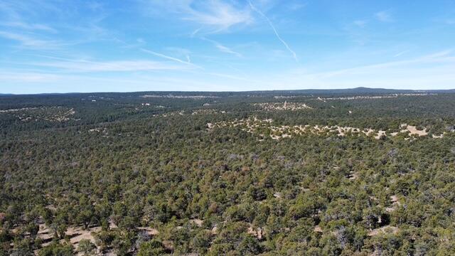 Photo 4 —  McComb Road Tract AA