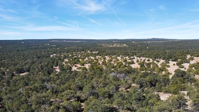 Photo 3 —  McComb Road Tract AA