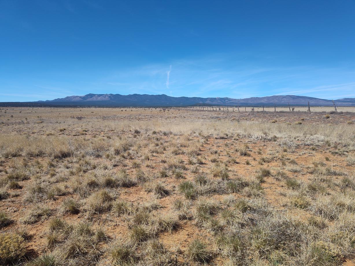 Photo 11 — Tracts A/B Spencer Ranch Road
