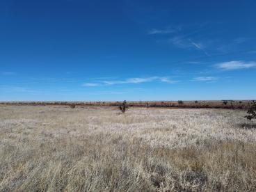 Photo 6 — Tracts A/B Spencer Ranch Road