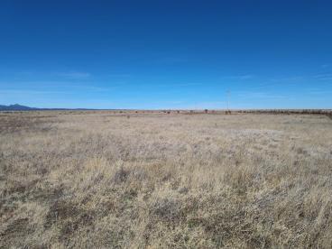 Photo 7 — Tracts A/B Spencer Ranch Road