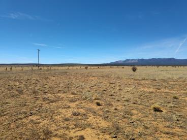 Photo 9 — Tracts A/B Spencer Ranch Road