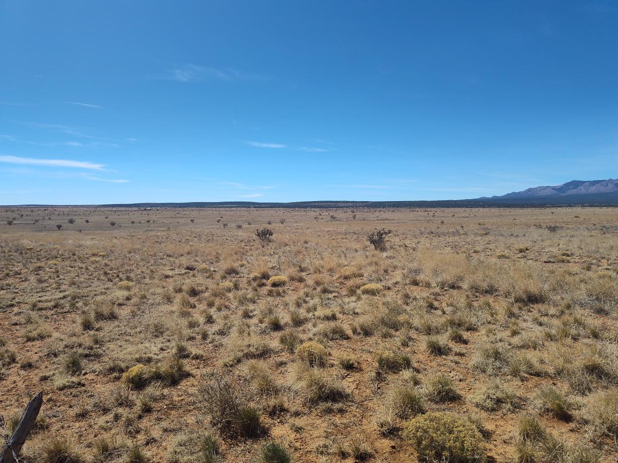 Photo 8 — Tract A Spencer Ranch Road