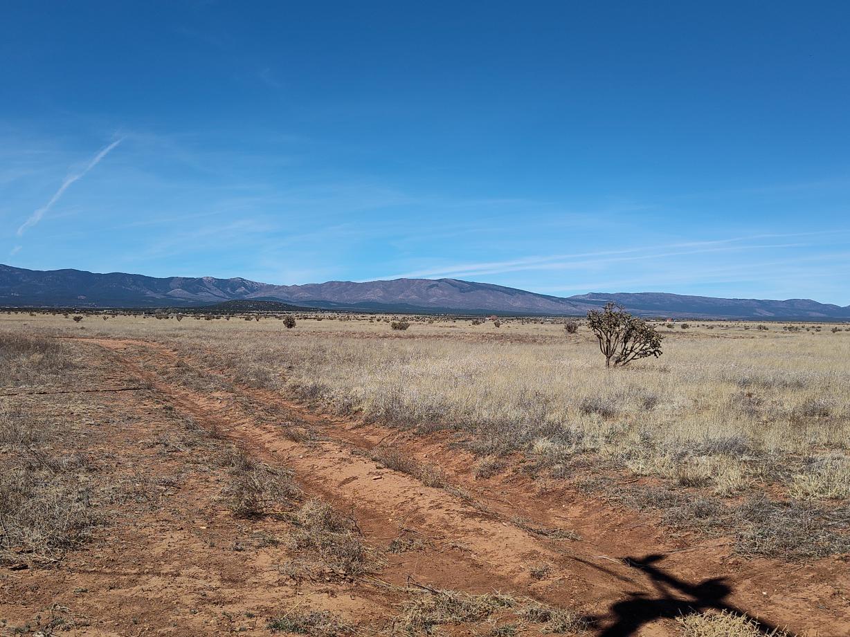 Photo 10 — Tract A Spencer Ranch Road