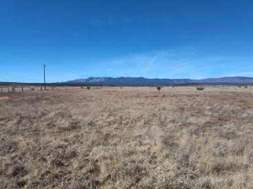 Photo 6 — Tract A Spencer Ranch Road