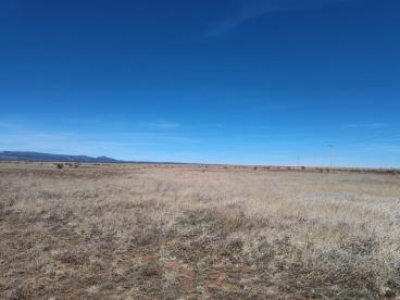 Photo 6 — Tract B Spencer Ranch Road