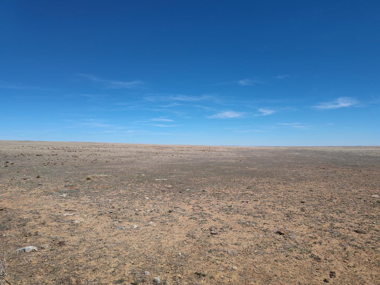 Photo 9 — TR 1,2,3,4 Old Willard Road