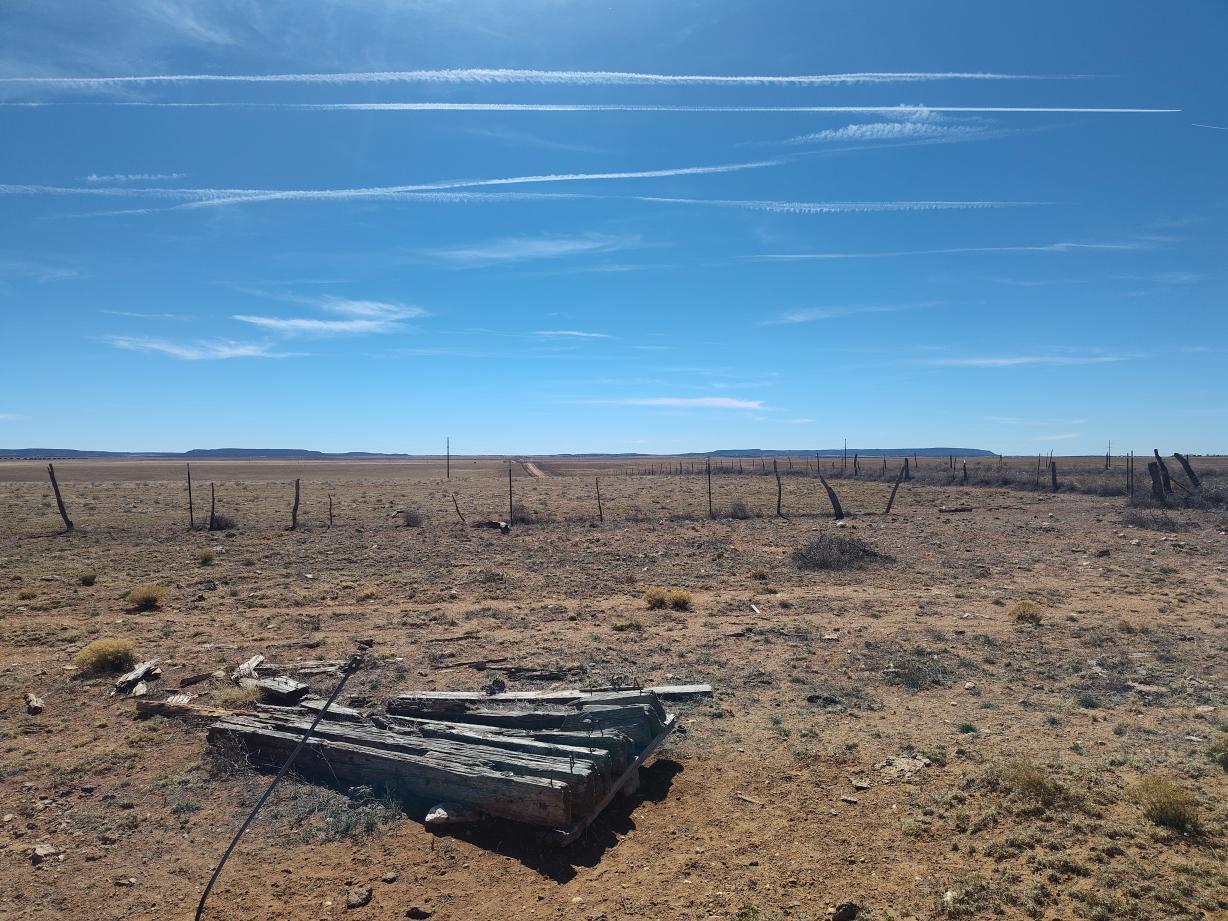 Photo 16 — TR 1,2,3,4 Old Willard Road