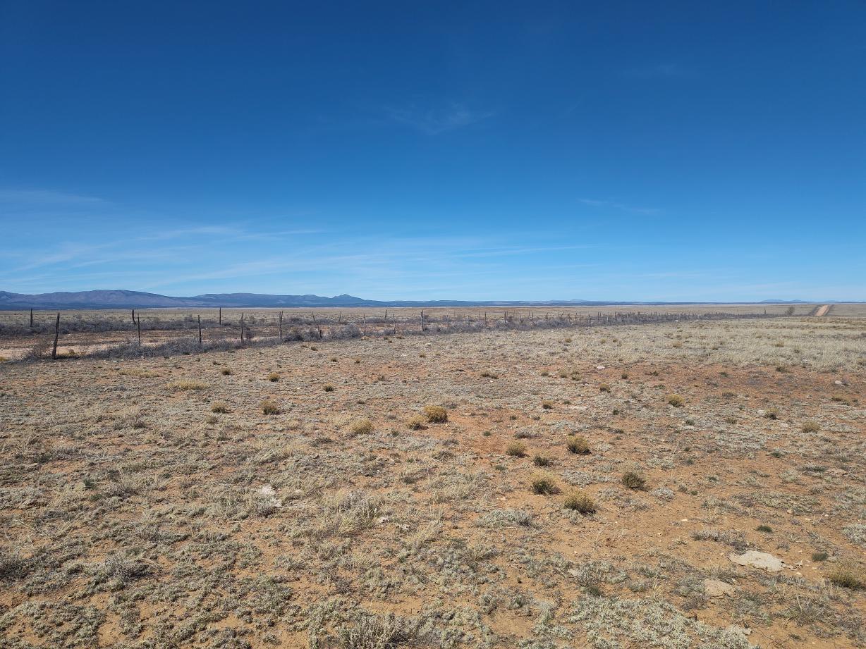 Photo 17 — TR 1,2,3,4 Old Willard Road