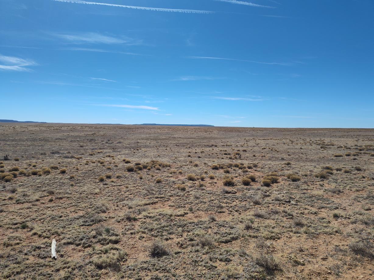Photo 3 — Tracts 1&2 Old Willard Road