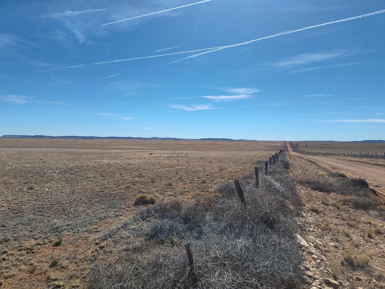 Photo 6 — Tracts 1&2 Old Willard Road