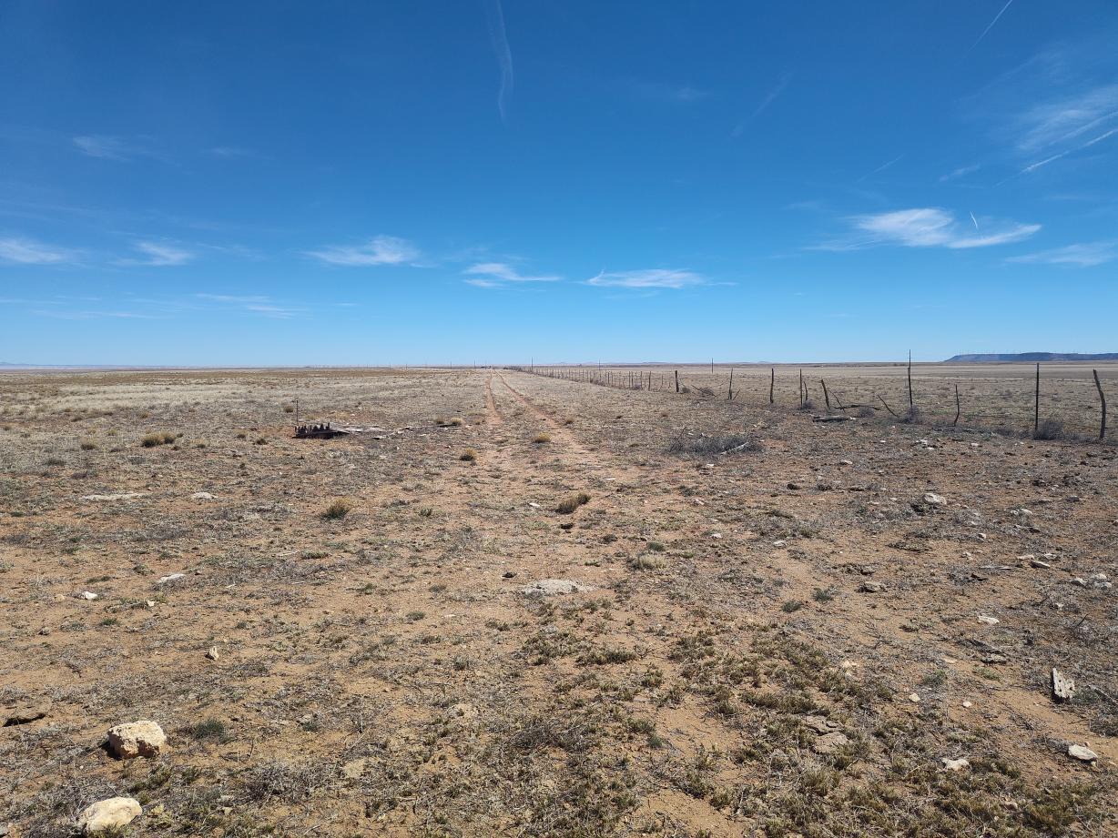 Photo 3 — Tracts 3&4 Medicine Run Road