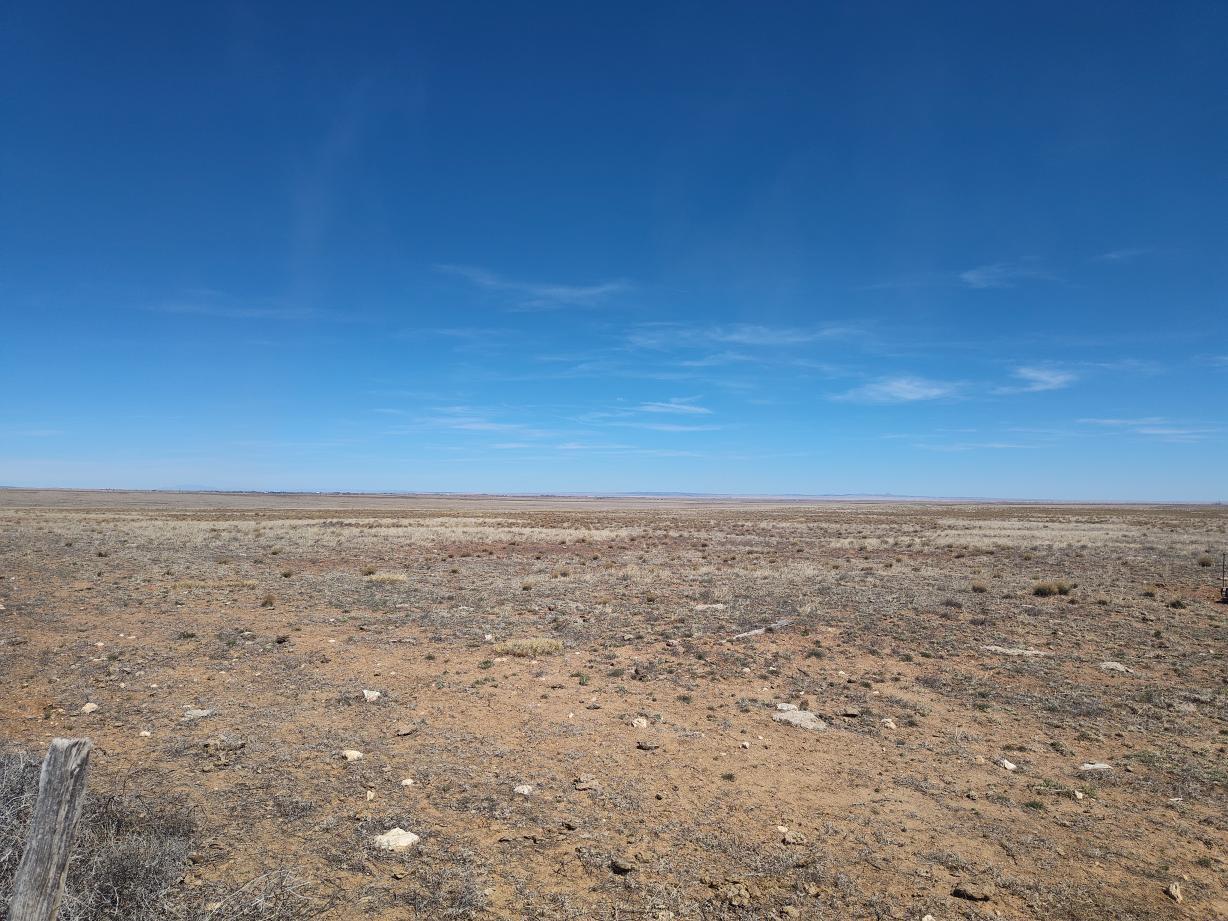Photo 4 — Tracts 3&4 Medicine Run Road