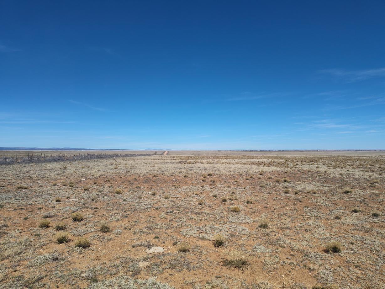 Photo 5 — Tracts 3&4 Medicine Run Road