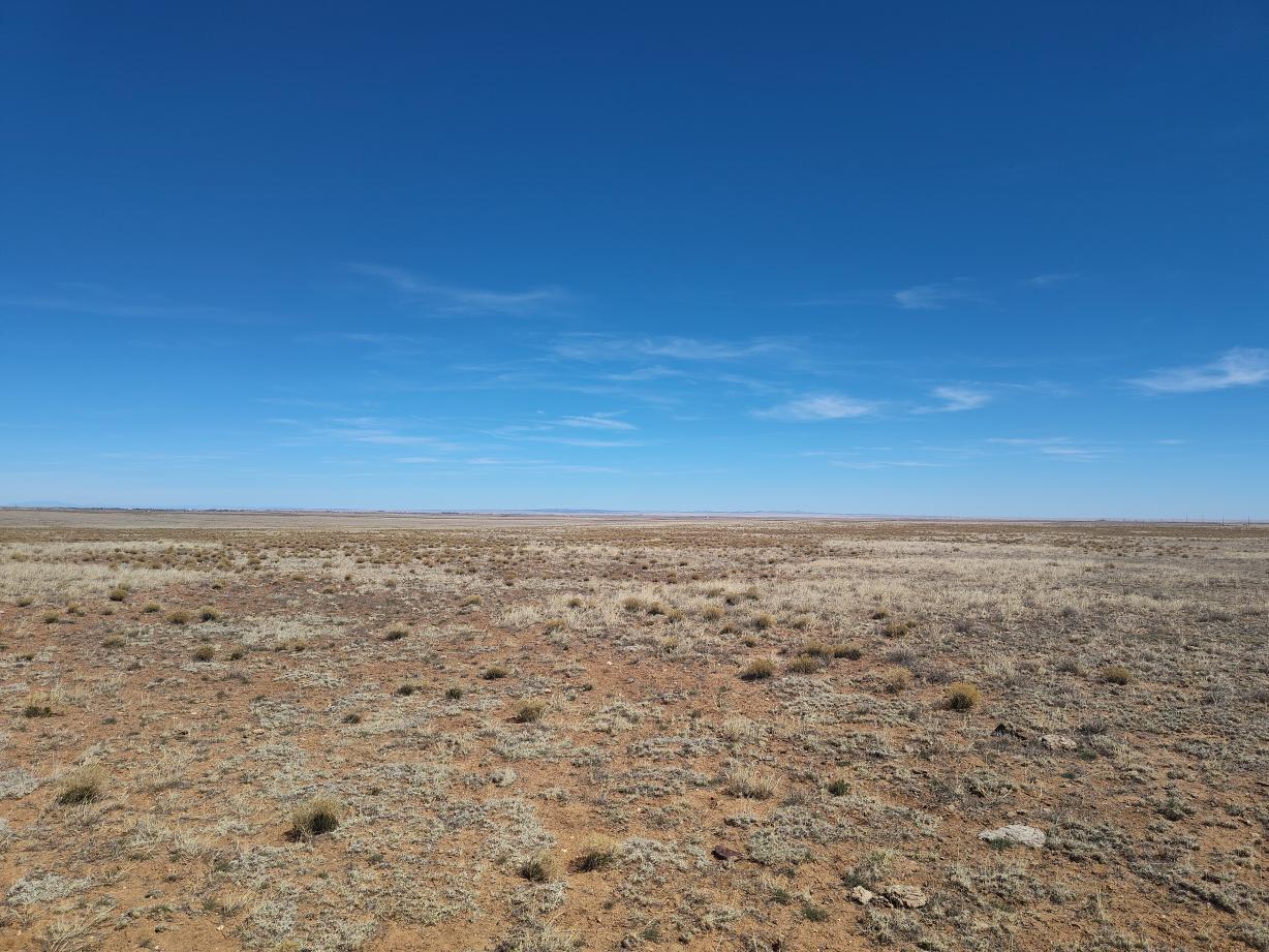Photo 6 — Tracts 3&4 Medicine Run Road