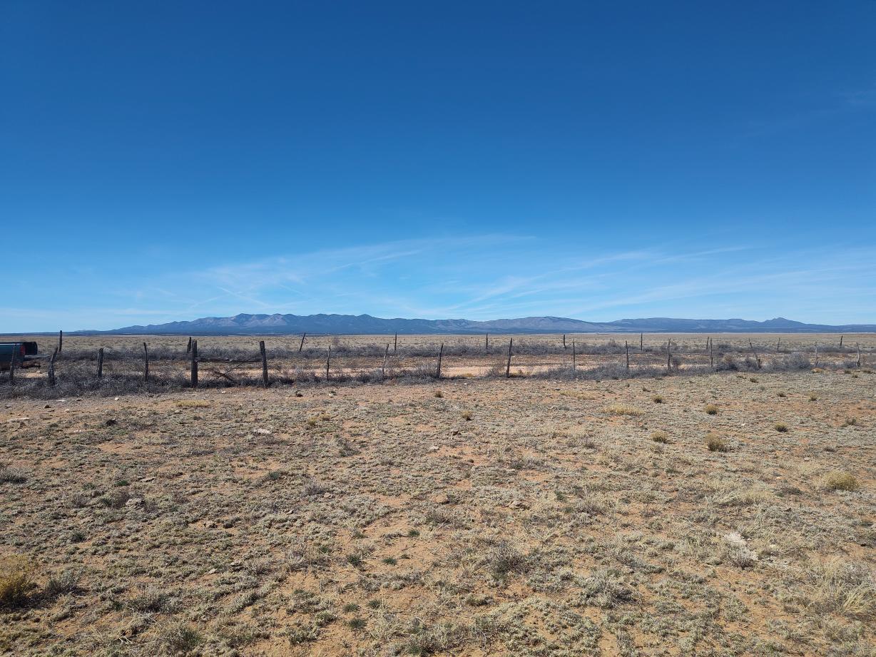 Photo 8 — Tracts 3&4 Medicine Run Road
