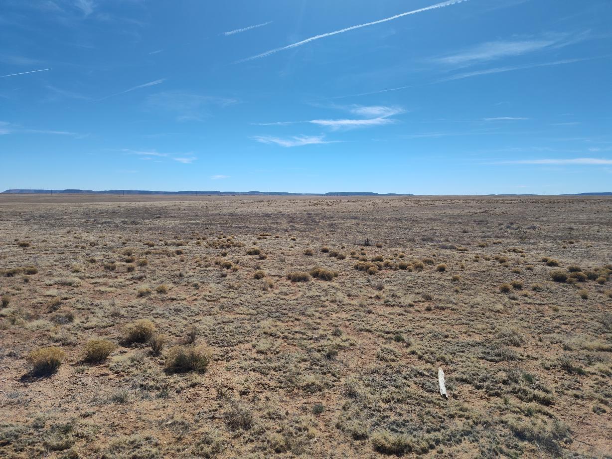 Photo 15 — Tracts 3&4 Medicine Run Road