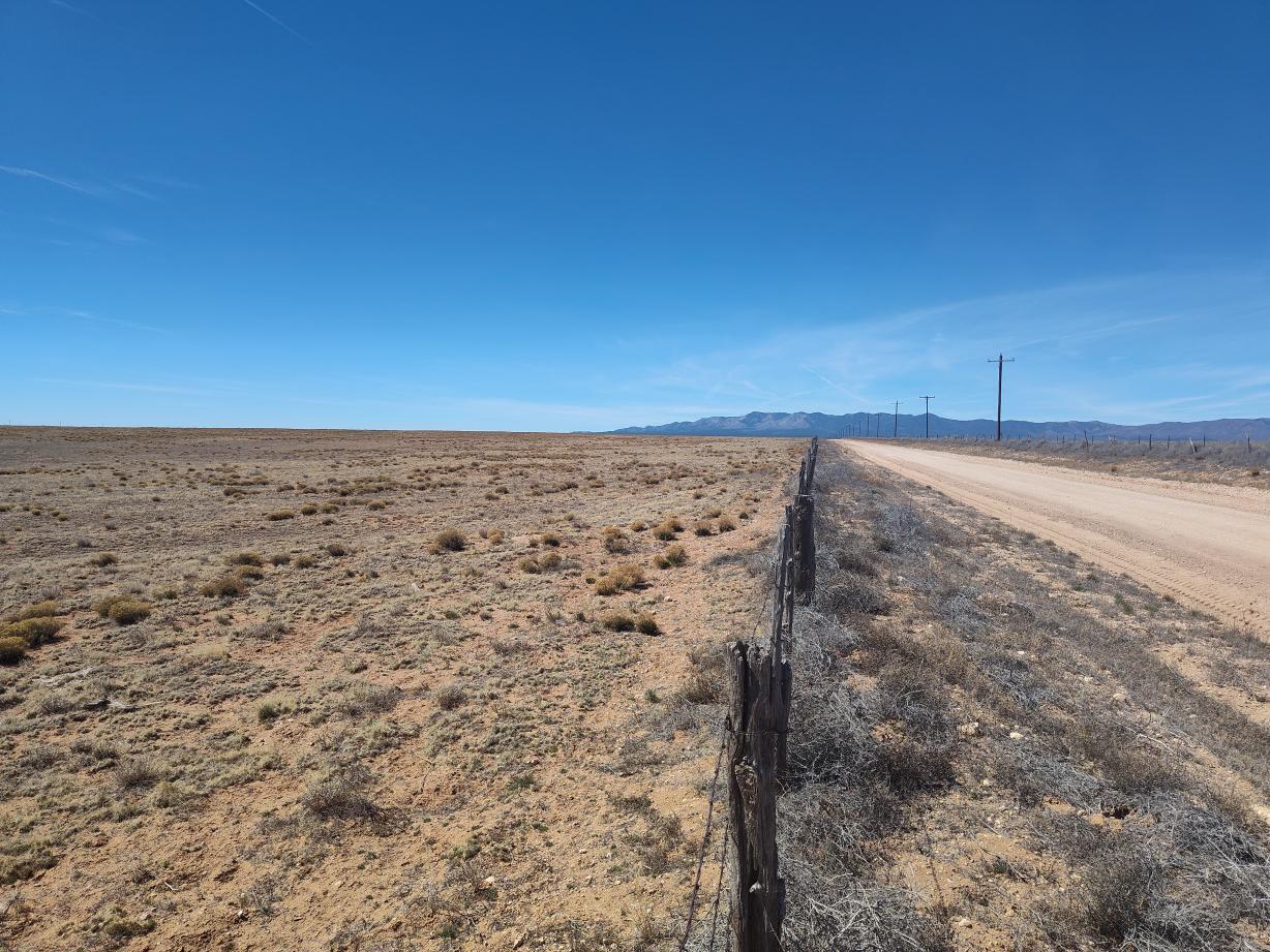 Photo 17 — Tracts 3&4 Medicine Run Road
