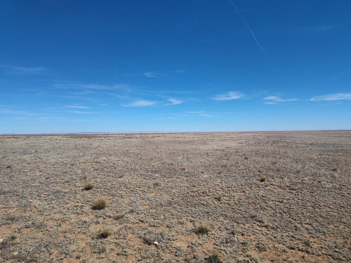 Photo 18 — Tracts 3&4 Medicine Run Road