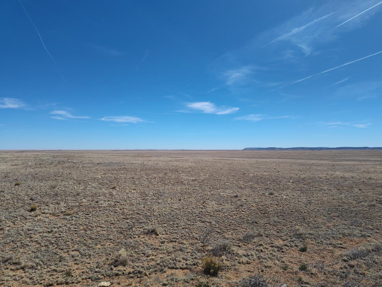 Photo 10 — Tracts 3&4 Medicine Run Road