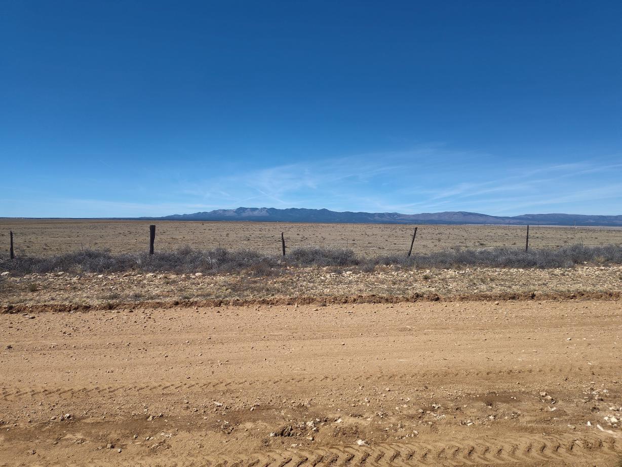 Photo 12 — Tracts 3&4 Medicine Run Road