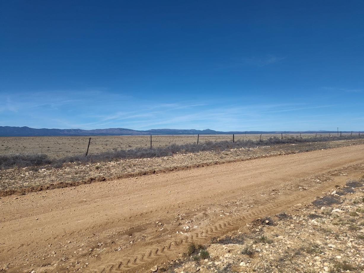 Photo 13 — Tracts 3&4 Medicine Run Road
