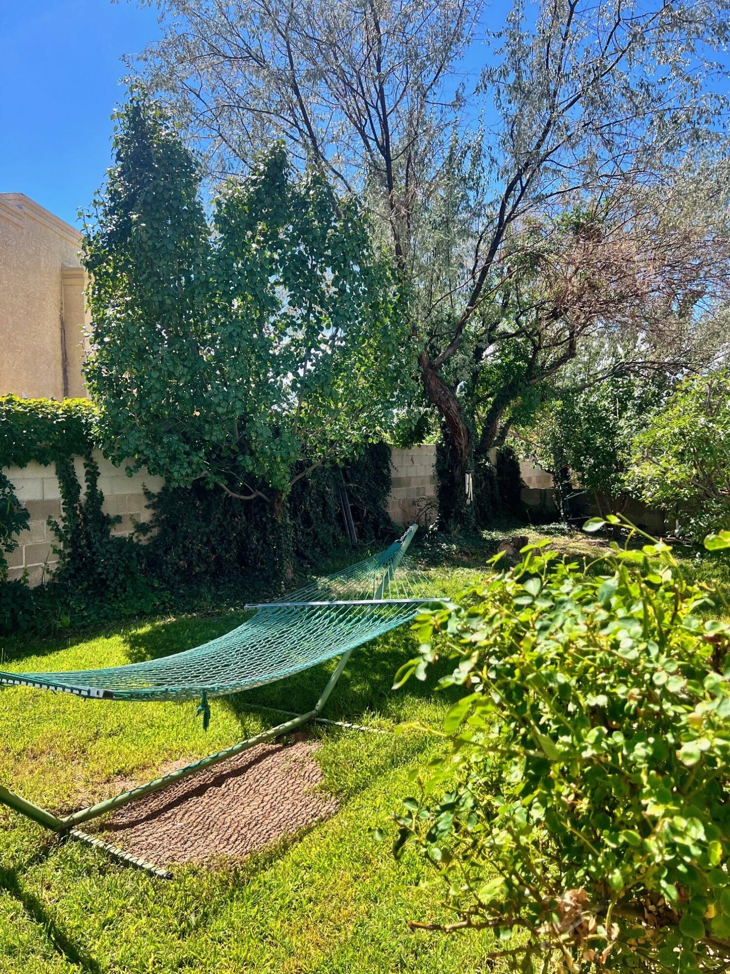 Photo 3 — 8700 Canyon Run Road NE