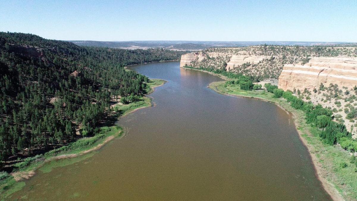 Photo 20 — Lot 5 Copperweed Road