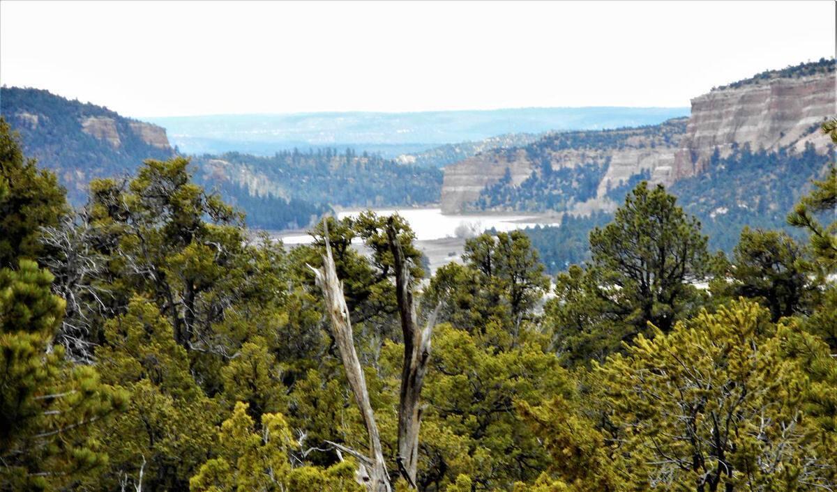 Photo 15 — Lot 5 Copperweed Road