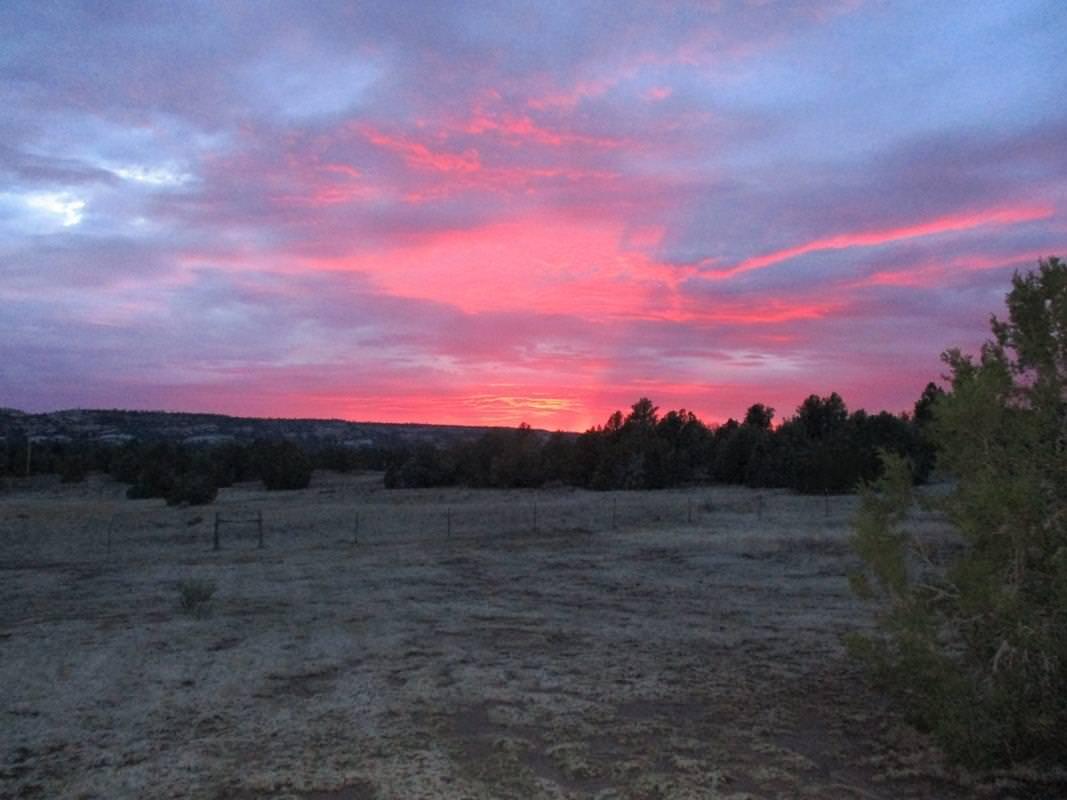 Photo 8 — Lot 5 Copperweed Road