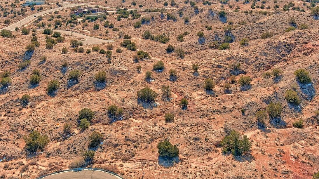 Photo 15 — 2305 Desert Marigold Road NE