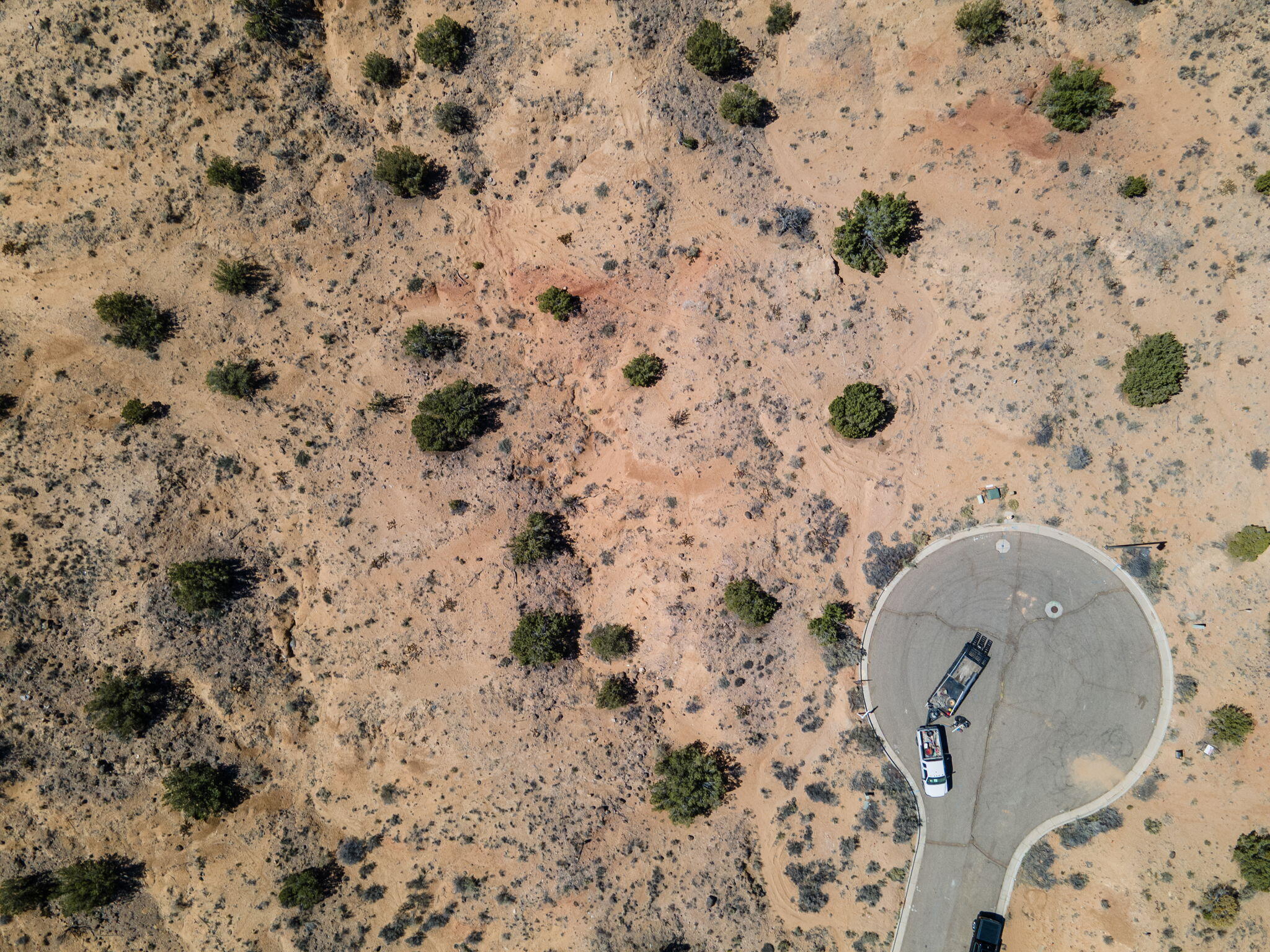 Photo 10 — 2305 Desert Marigold Road NE