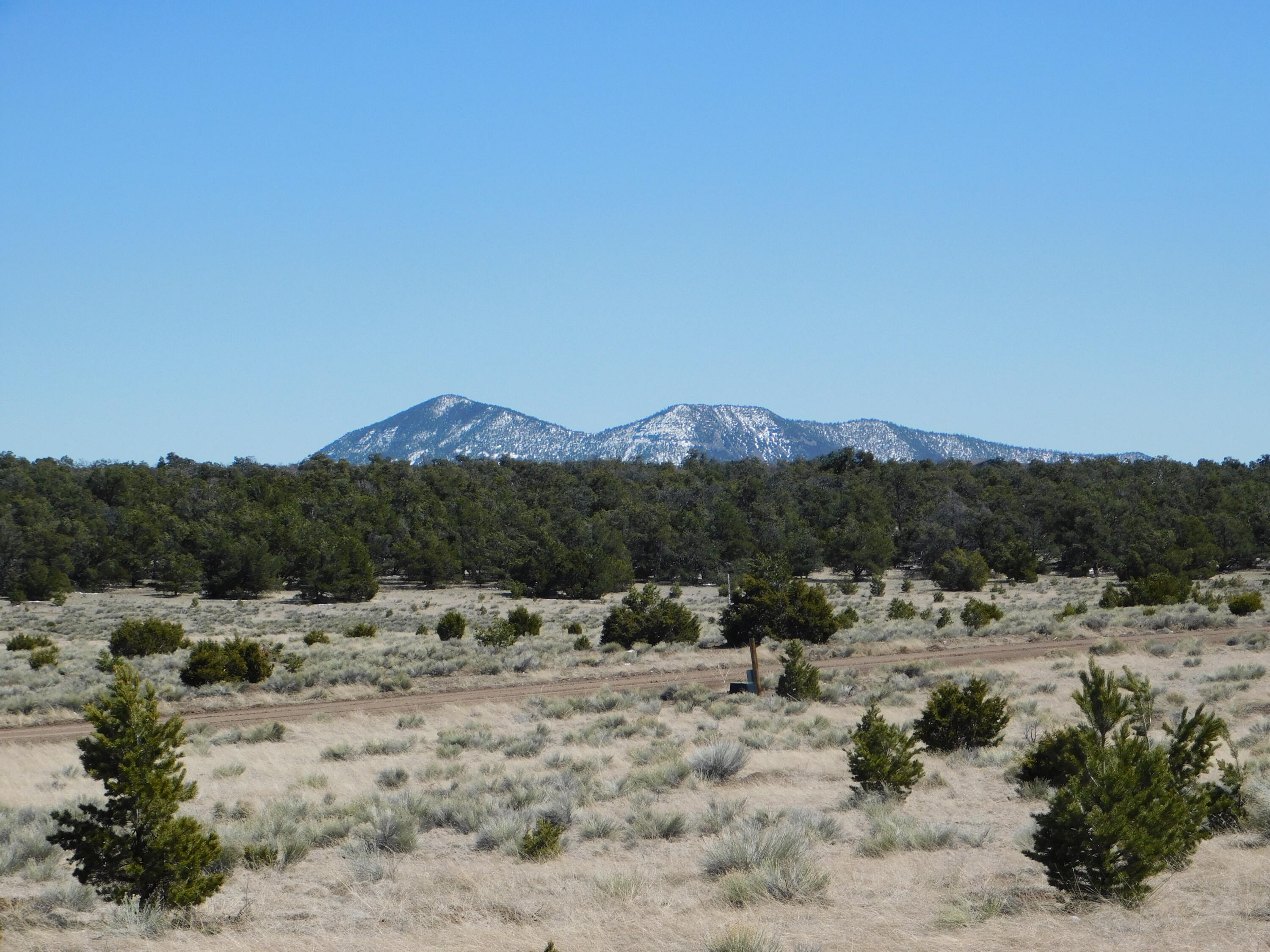 LOT 81 Artesian Avenue