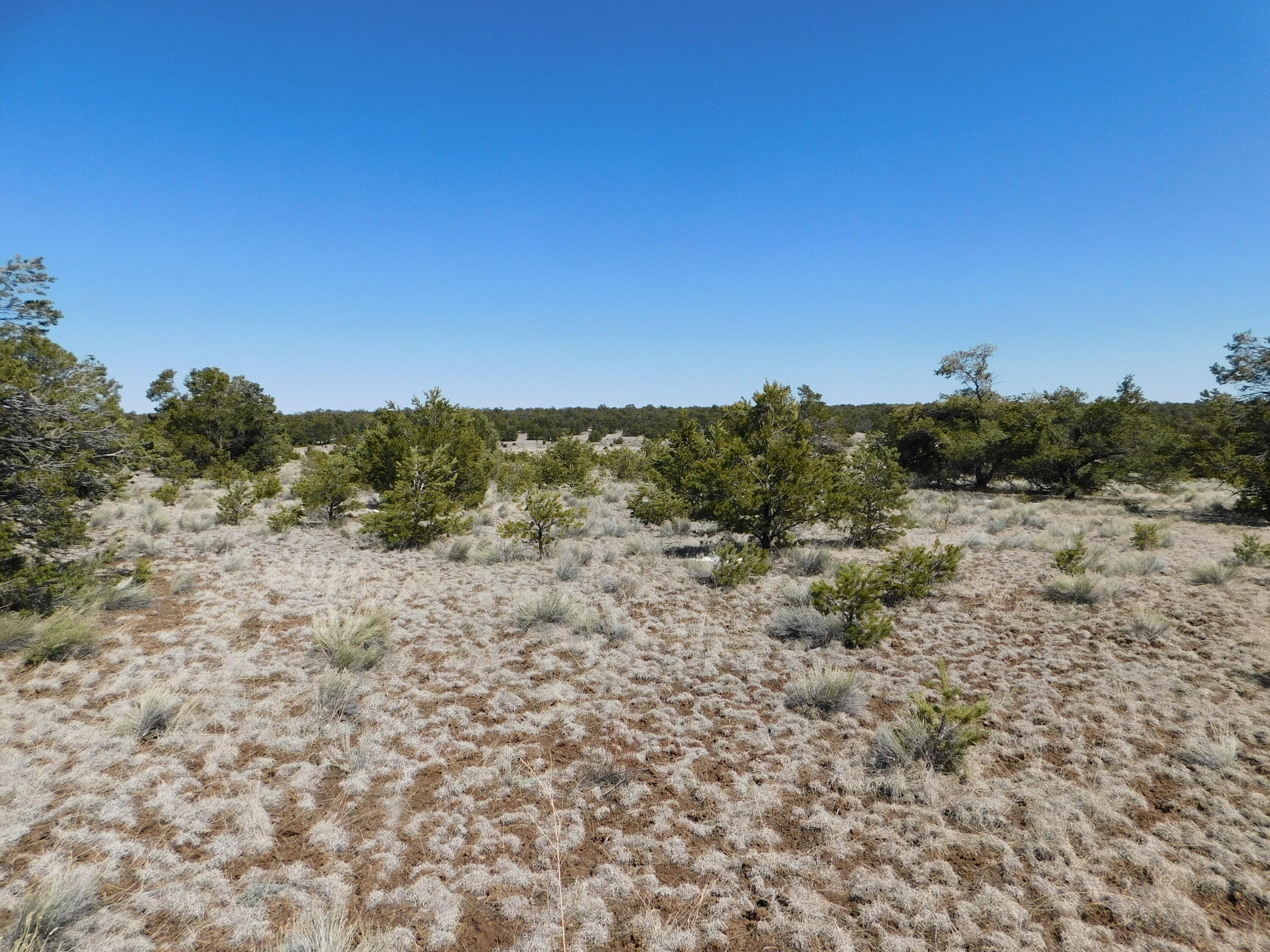 Photo 6 — LOT 81 Artesian Avenue