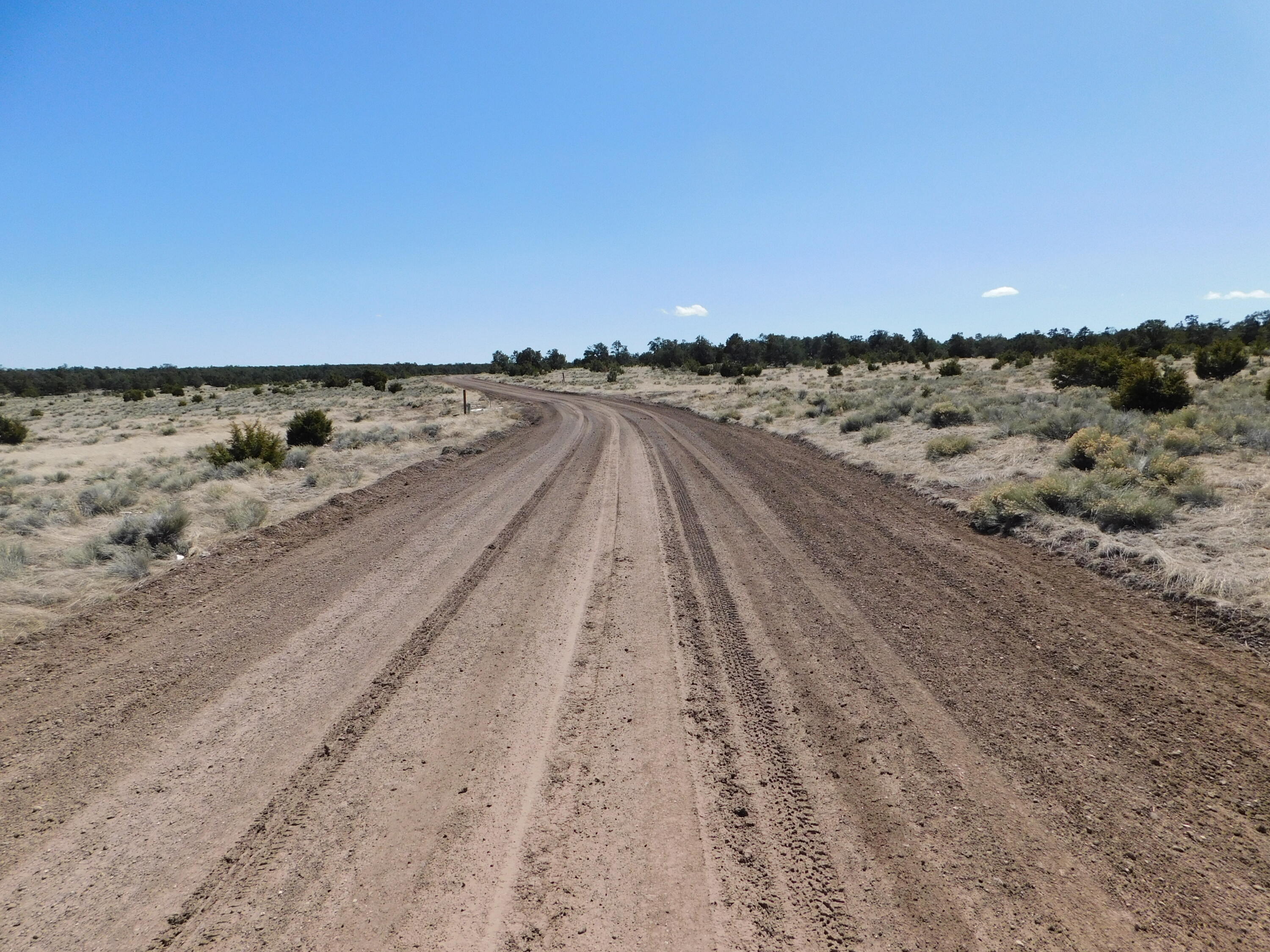 Photo 5 — LOT 81 Artesian Avenue