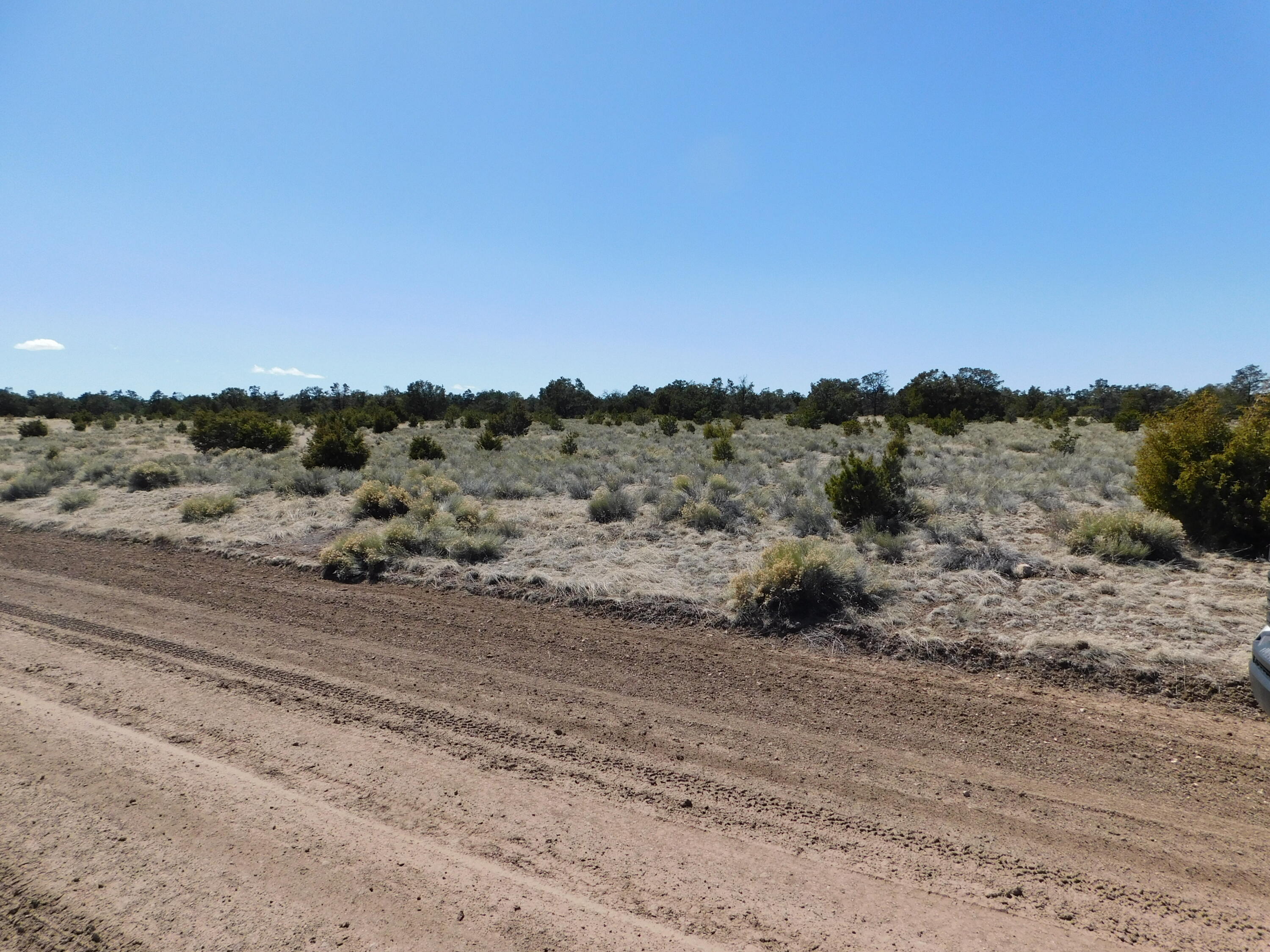 Photo 15 — LOT 81 Artesian Avenue