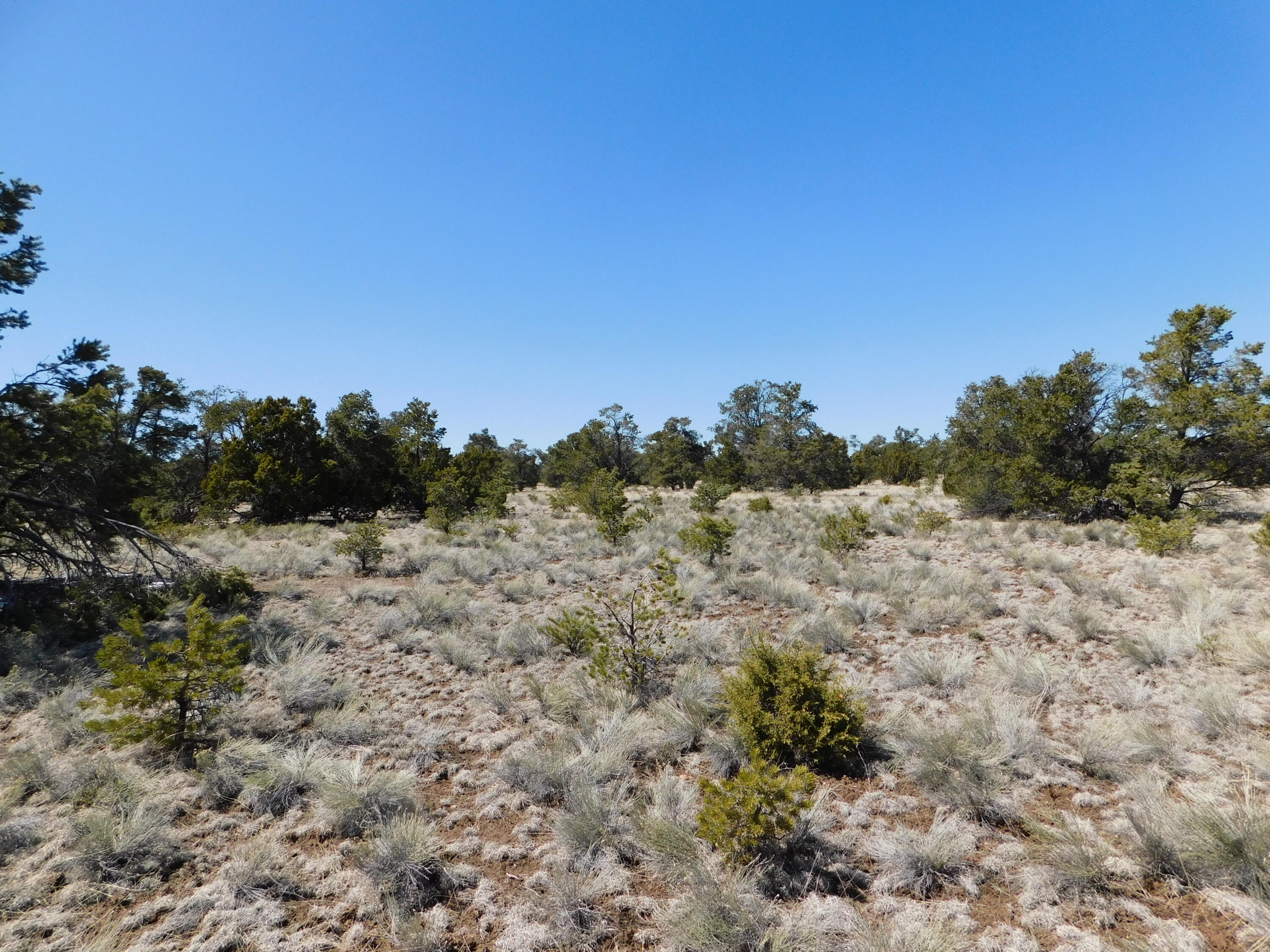Photo 12 — LOT 81 Artesian Avenue