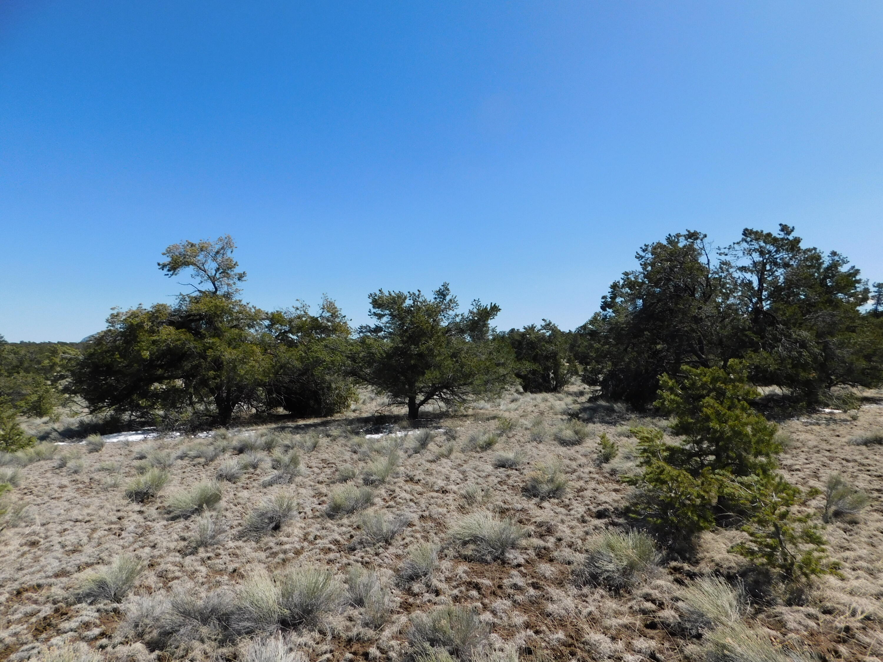 Photo 10 — LOT 81 Artesian Avenue
