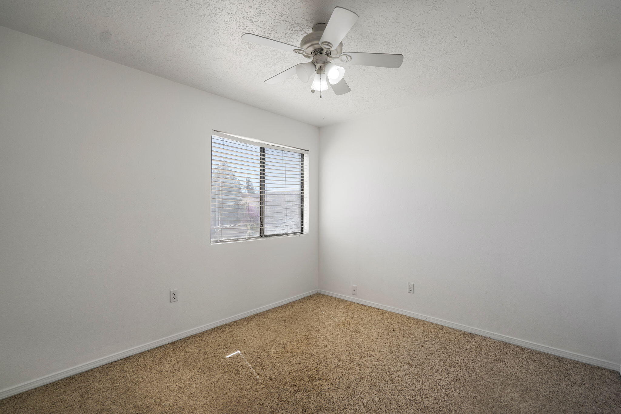 Photo 19 — 6701 Lamar Avenue NW