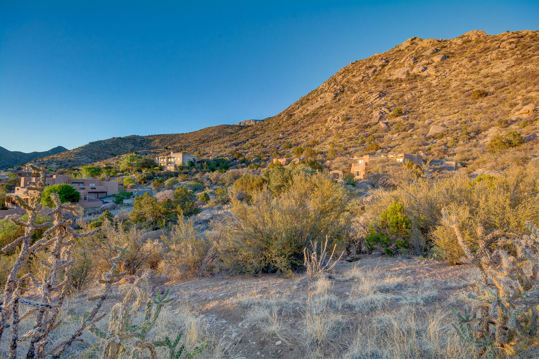 Photo 7 — 9 La Luz Trail NE