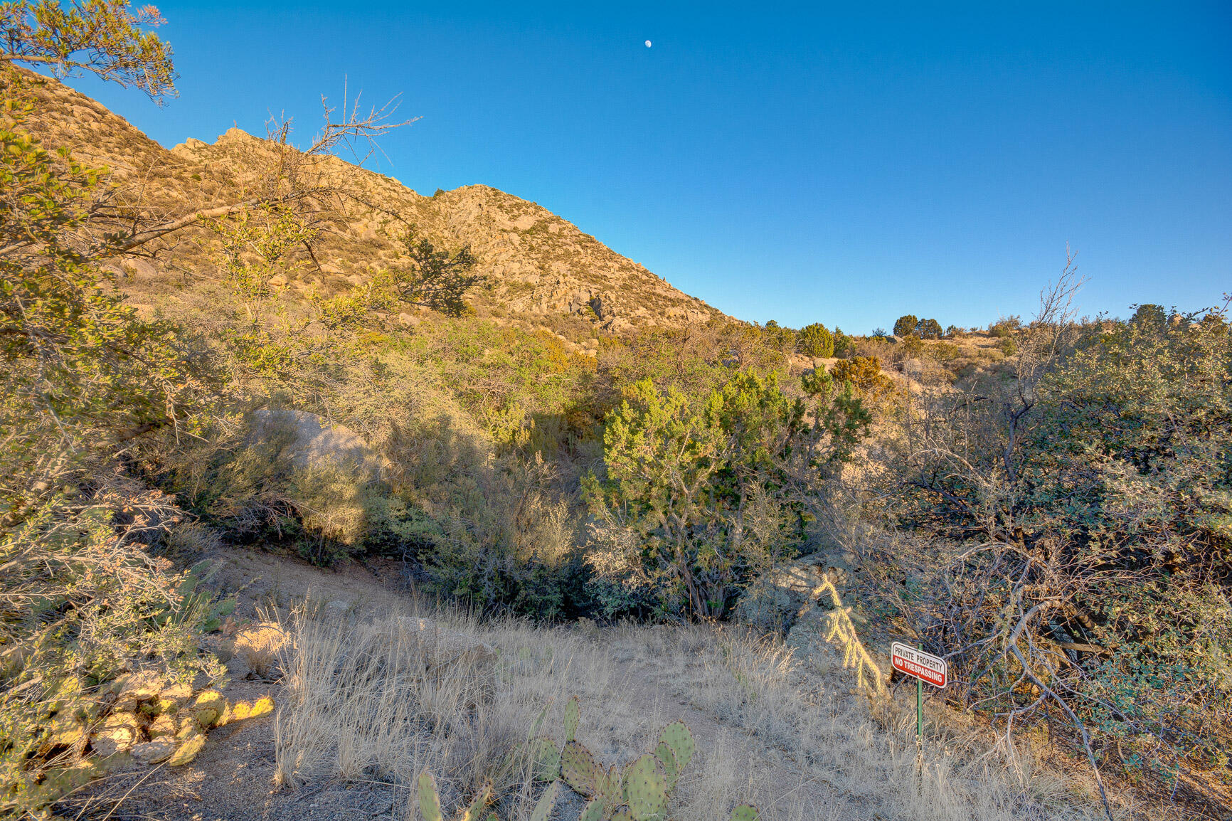 Photo 6 — 9 La Luz Trail NE