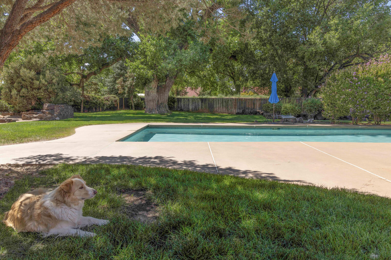 Photo 9 — 1515 Los Nietos Court NW